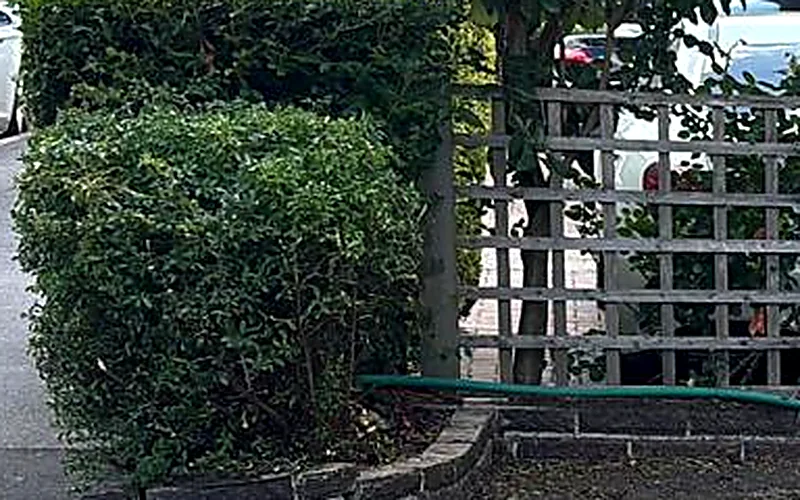 A privet hedge cut square with a clean flat top
