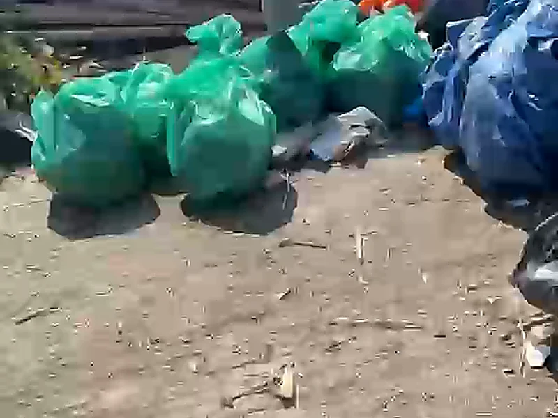 Filled green garden waste bags stacked on cleared ground